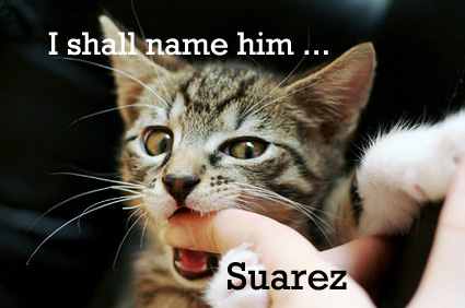 suarez-10.jpg